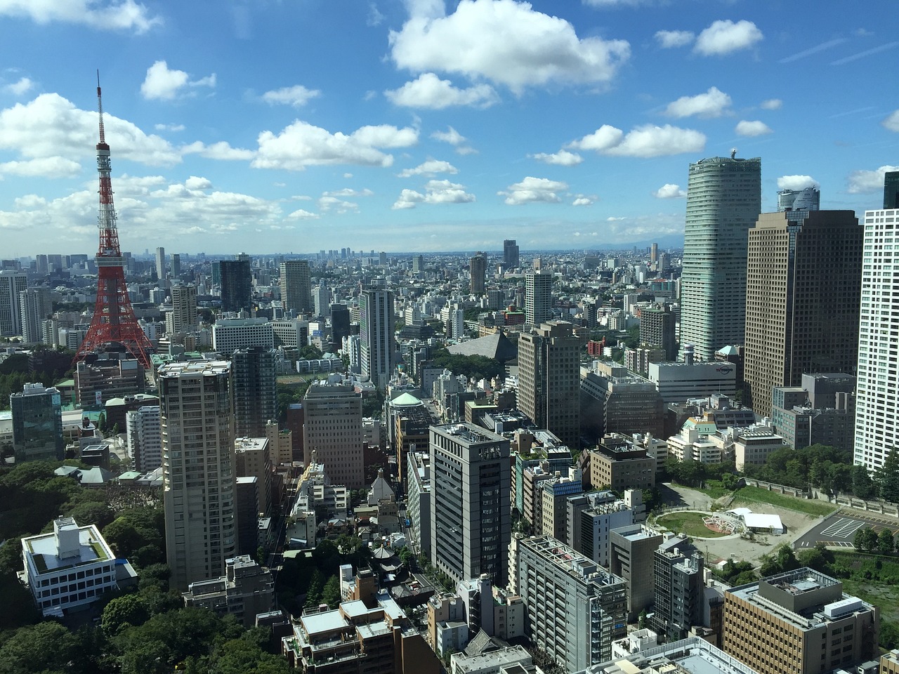 最新病毒城市