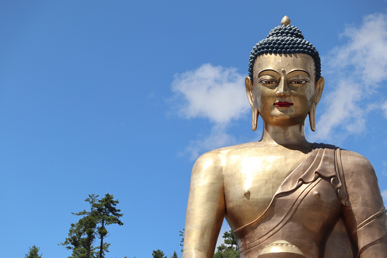 赵惟依的三亚之旅，探索美景与文化的魅力之旅