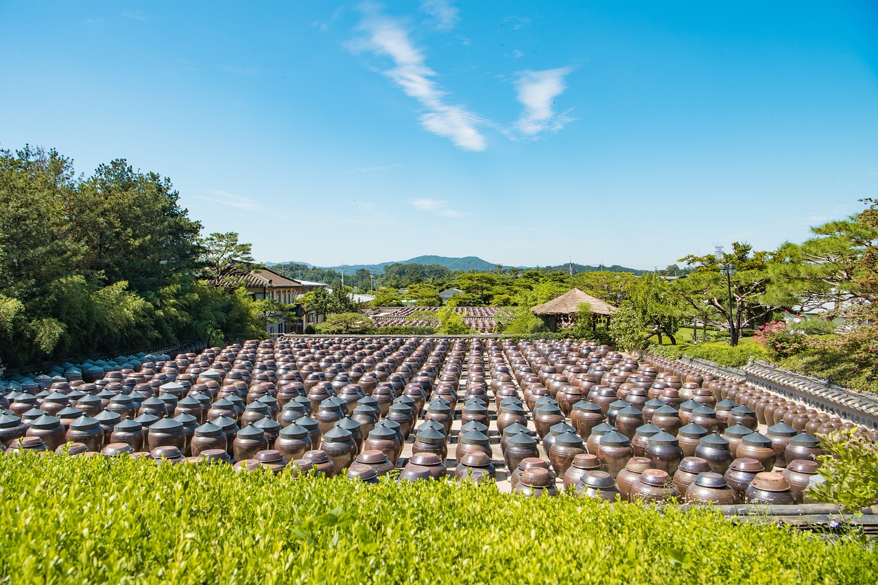 赵本山徒弟电视剧最新动态，探究新剧魅力与产业发展之路